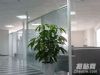 【中高档】办公室玻璃隔断【上海】办公室隔